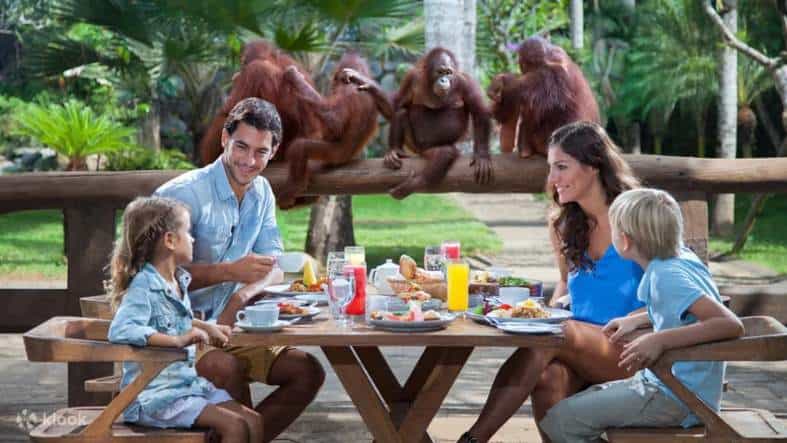 a family at Bali zoo having breakfast