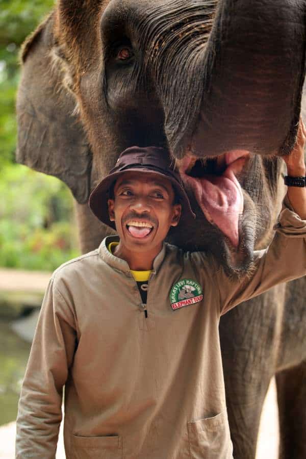 a zookeeper at Bali Zoo with an elephant