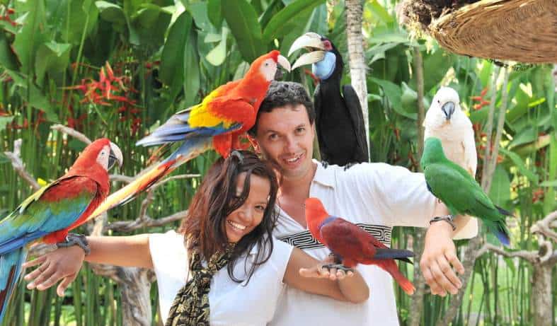 a couple with birds on their shoulders at Bali Bird Park