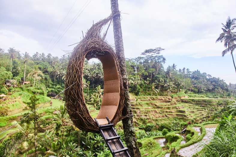 a Bali swing overlooking rice terraces in Ubud