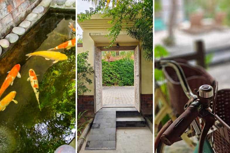 collage at Arena Living with coy fish, bikes and doors