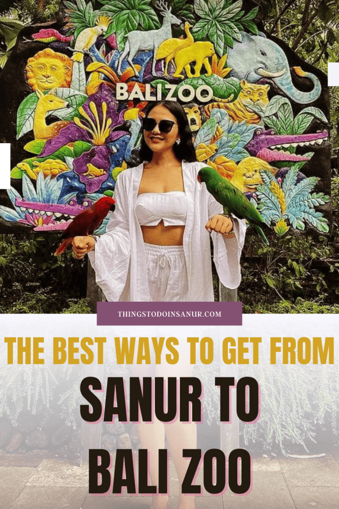 ways-to-get-from-sanur-to-bali-zoo_1