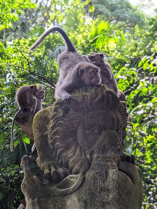 Monkeys having fun and climbing on statues at the Sacred Monkey Forest in Ubud Indonesia